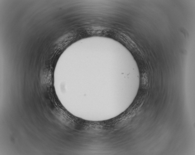 X0000112490820200908171245