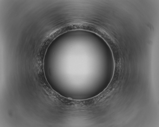 X0000112490822200908171245