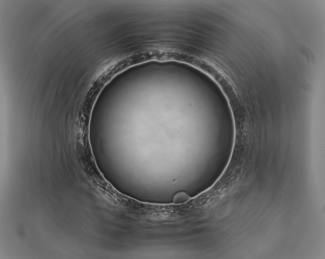 X0000112490823200908171245