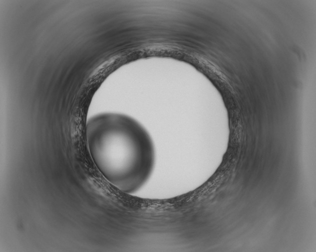 X0000112490824200908171245