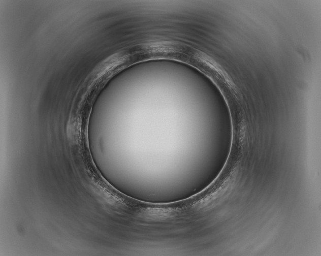 X0000112490825200908171245