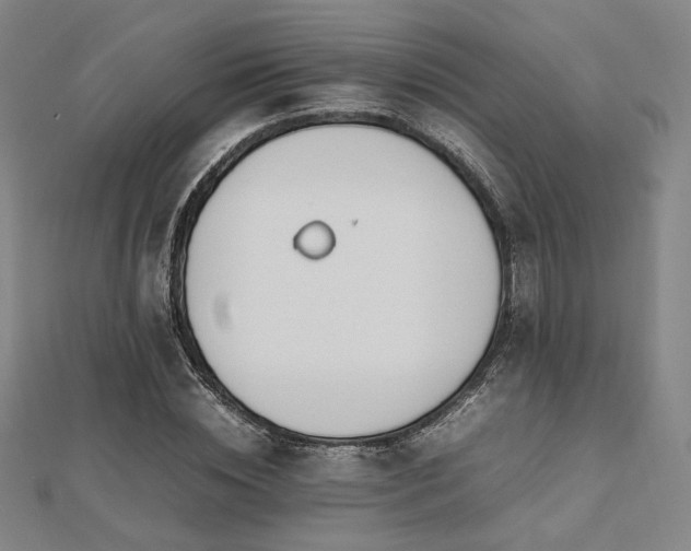 X0000112490828200908171245