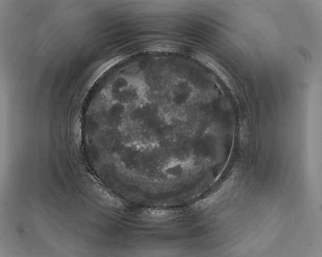 X0000112490829200908171245