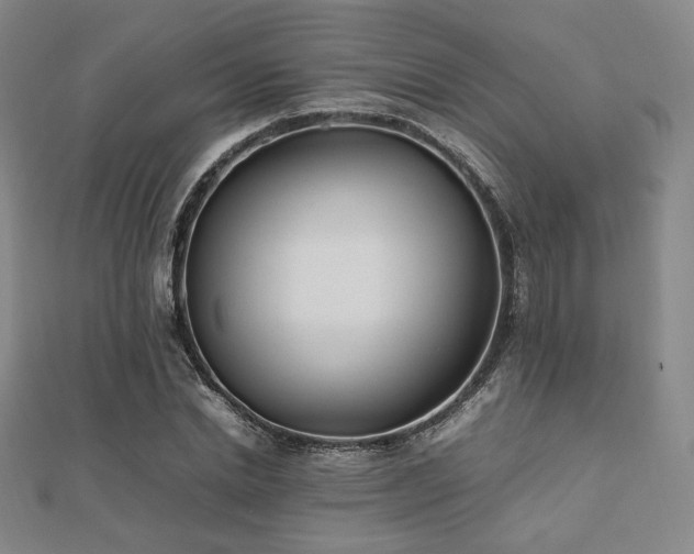 X0000112490830200908171245