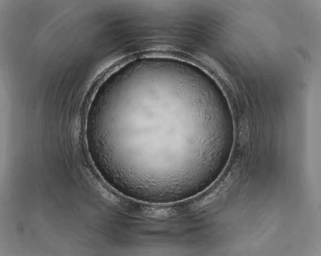 X0000112490831200908171245