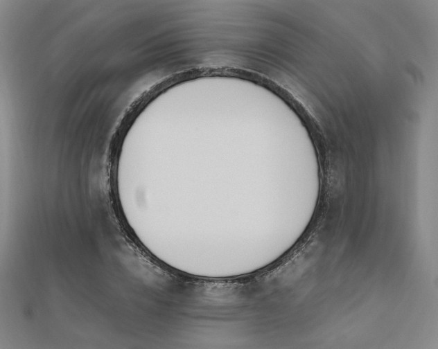 X0000112490832200908171245