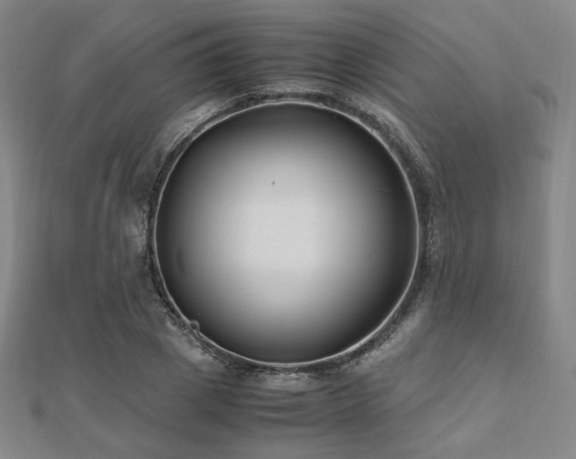 X0000112490833200908171245