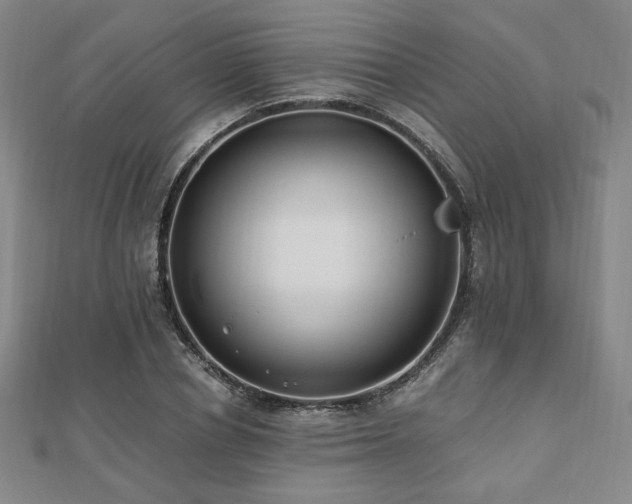 X0000112490834200908171245
