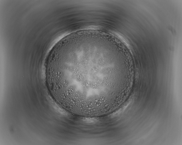 X0000112490835200908171245