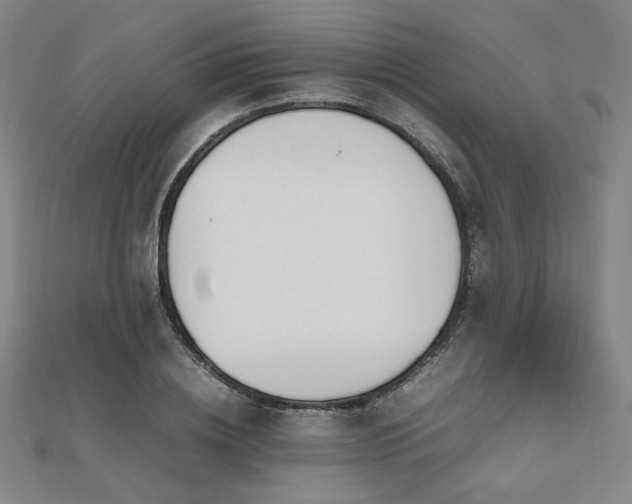X0000112490836200908171245