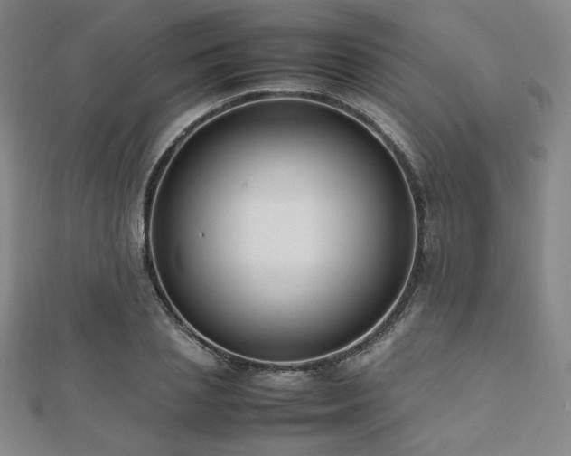 X0000112490837200908171245