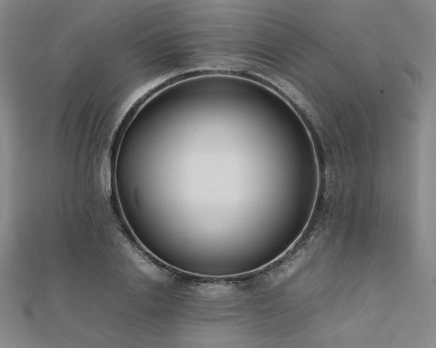 X0000112490838200908171245