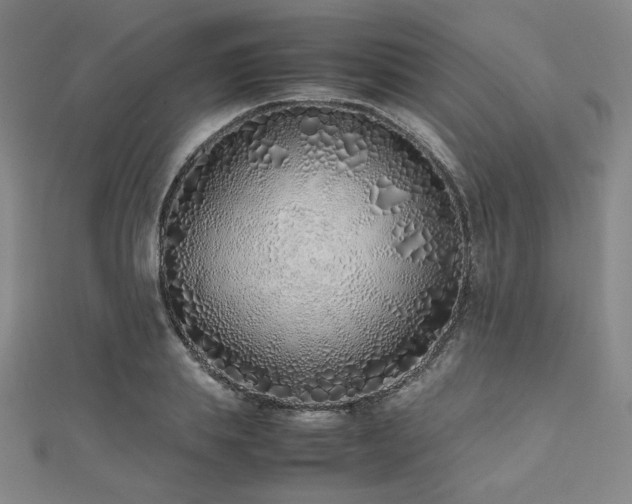 X0000112490839200908171245