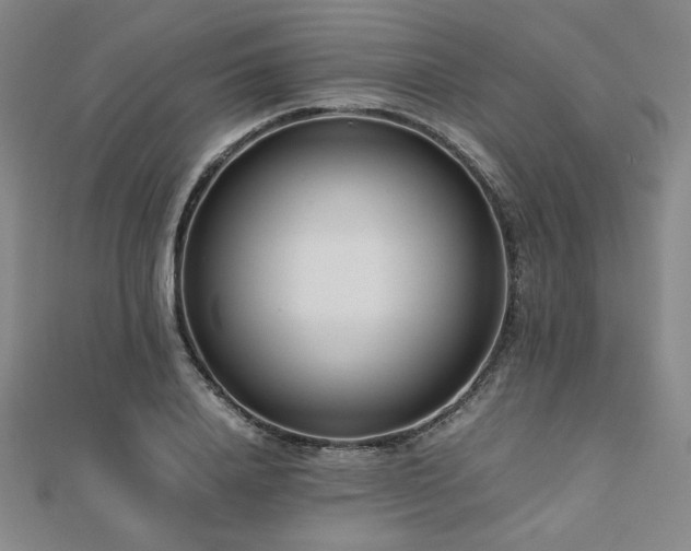 X0000112490840200908171245