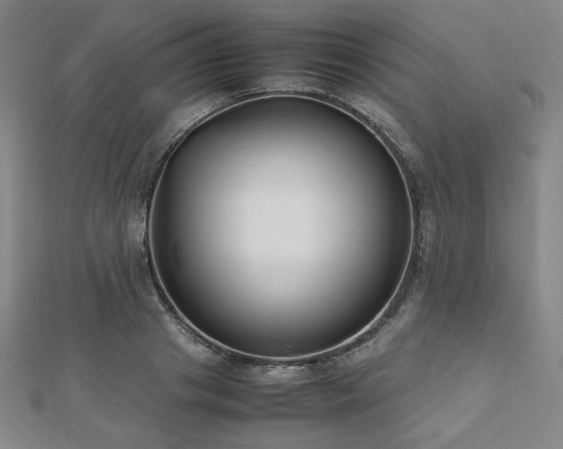 X0000112490841200908171245