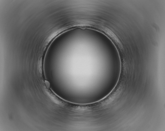 X0000112490842200908171245