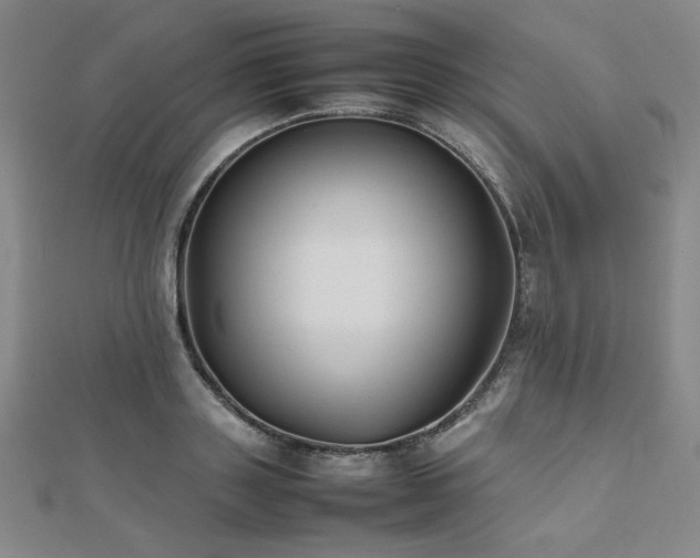 X0000112490843200908171245