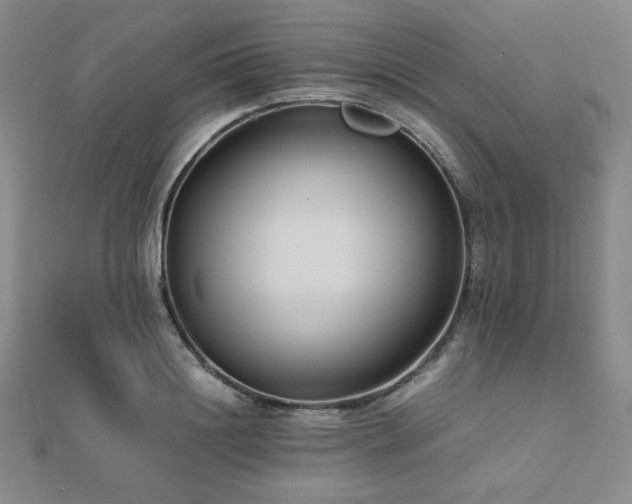 X0000112490844200908171245