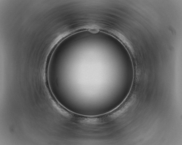 X0000112490845200908171245