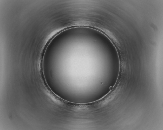 X0000112490846200908171245