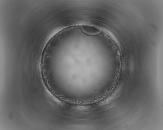 X0000112490847200908171245