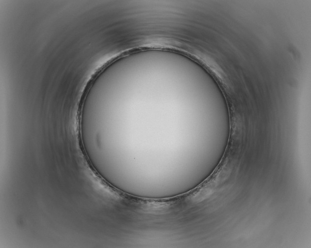 X0000112490848200908171245