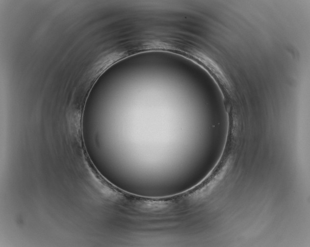 X0000112490849200908171245