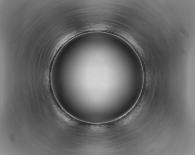 X0000112490850200908171245
