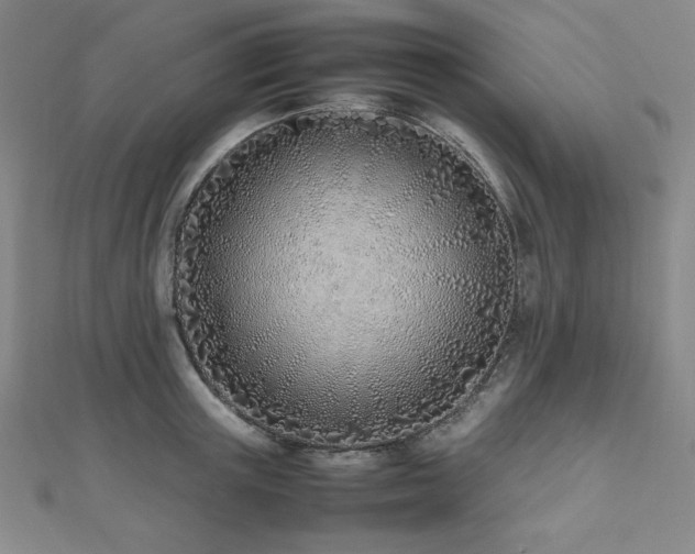 X0000112490851200908171245