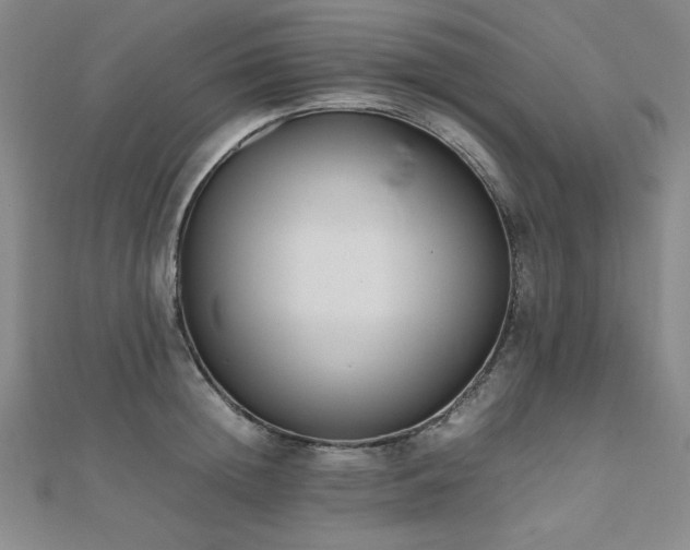 X0000112490852200908171245