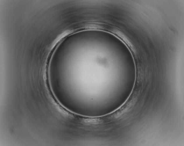 X0000112490853200908171245