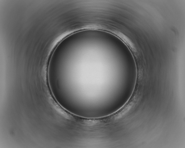X0000112490854200908171245
