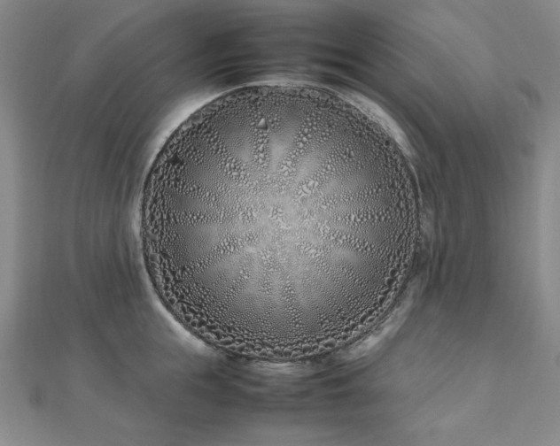 X0000112490855200908171245
