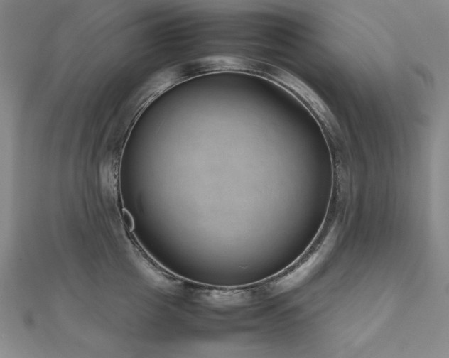 X0000112490857200908171245