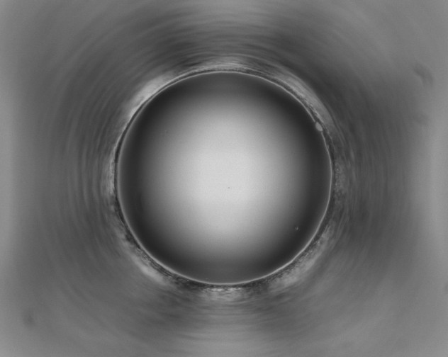 X0000112490858200908171245