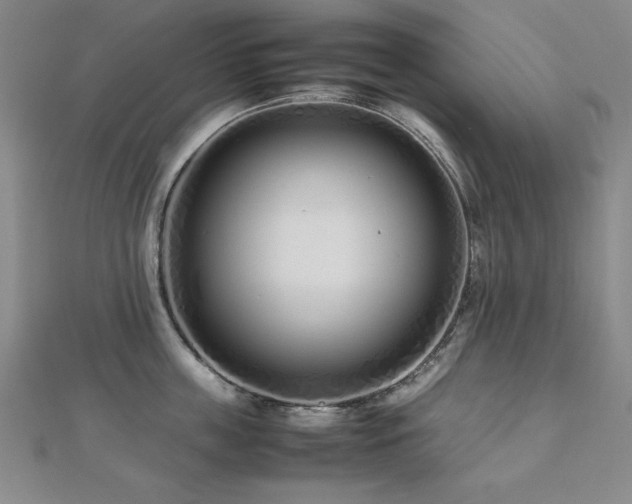 X0000112490859200908171245