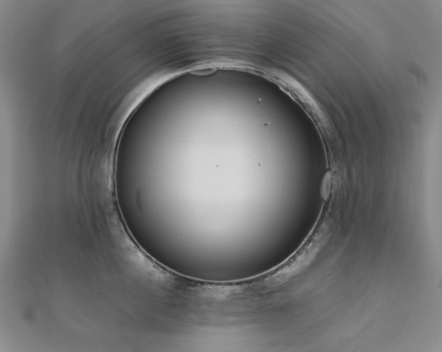X0000112490860200908171245