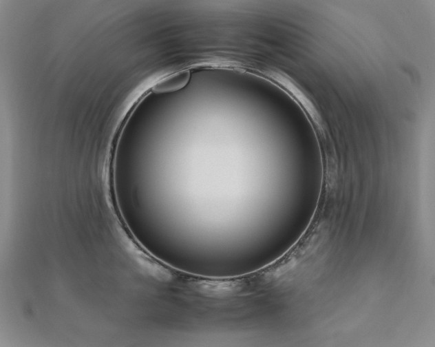 X0000112490861200908171245