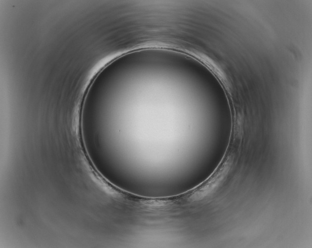 X0000112490862200908171245