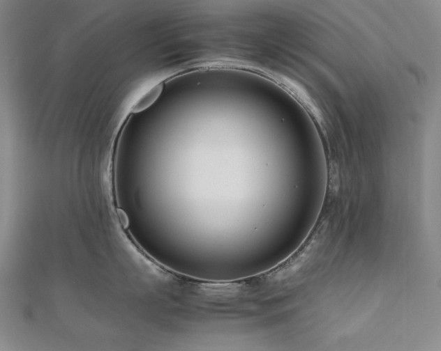 X0000112490863200908171245