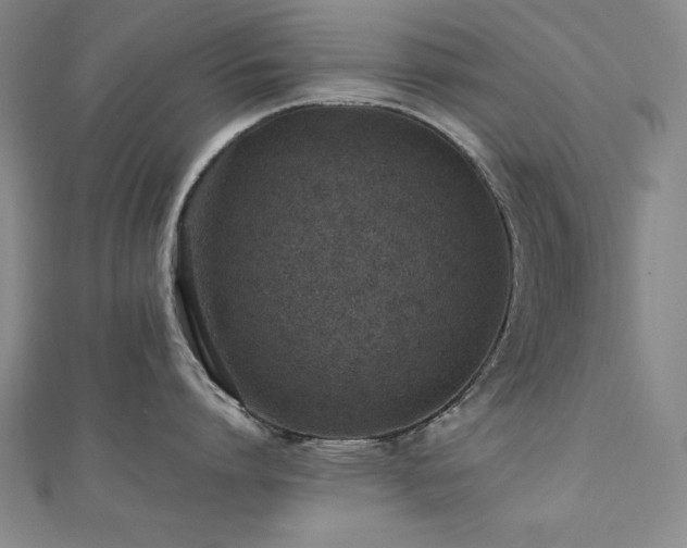 X0000112490864200908171246