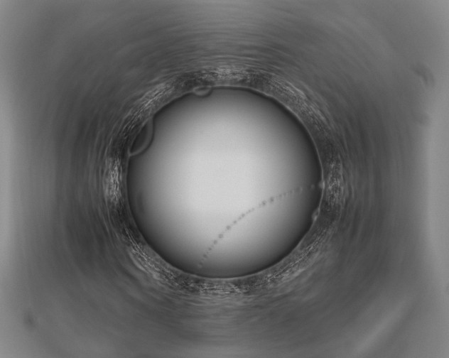 X0000112490866200908171245