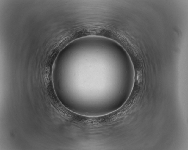 X0000112490867200908171245