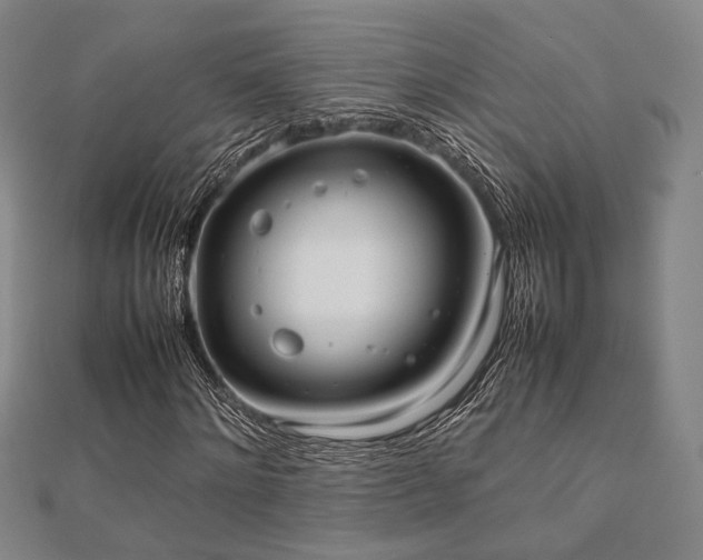 X0000112490868200908171245