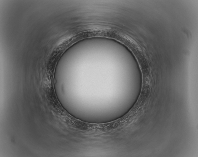 X0000112490869200908171245