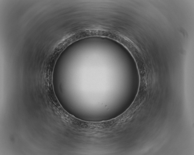 X0000112490870200908171245