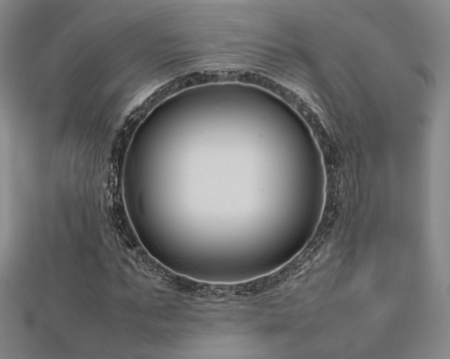 X0000112490871200908171245