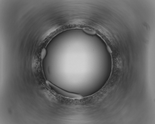 X0000112490872200908171245