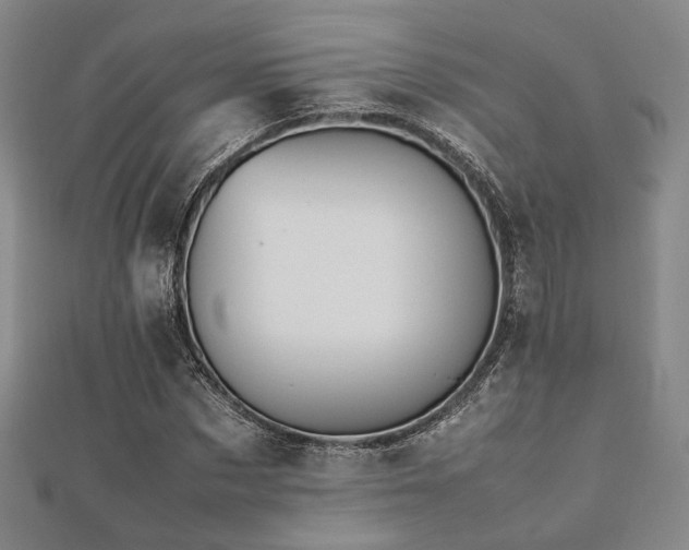 X0000112490873200908171245