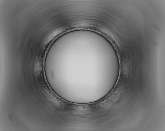 X0000112490874200908171245